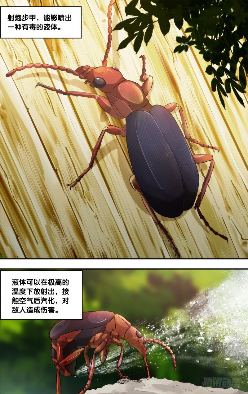 55.射炮步甲0