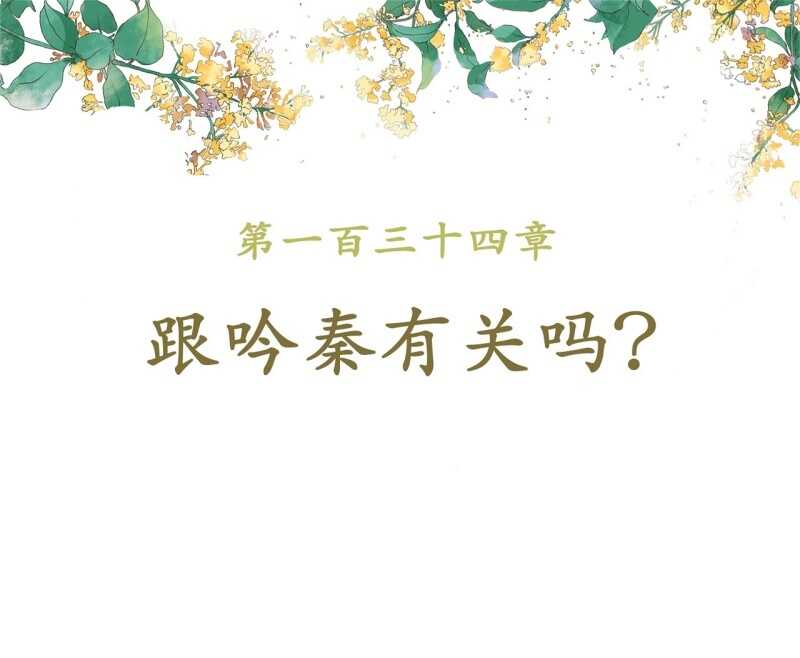 第134话 跟吟秦有关吗1