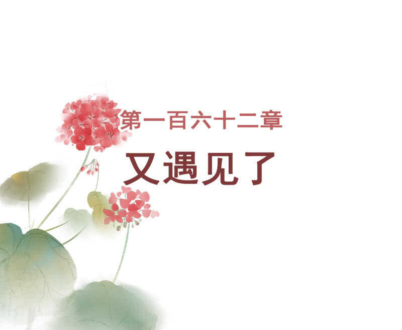 第162话 又遇见了1