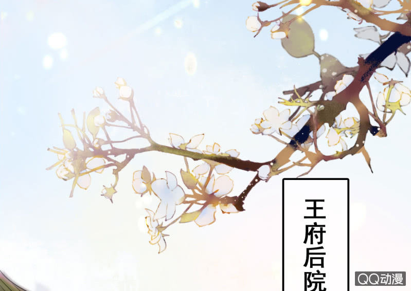 第23话10