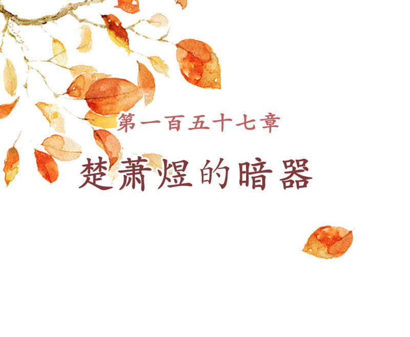 第157话 楚萧煜的暗器1