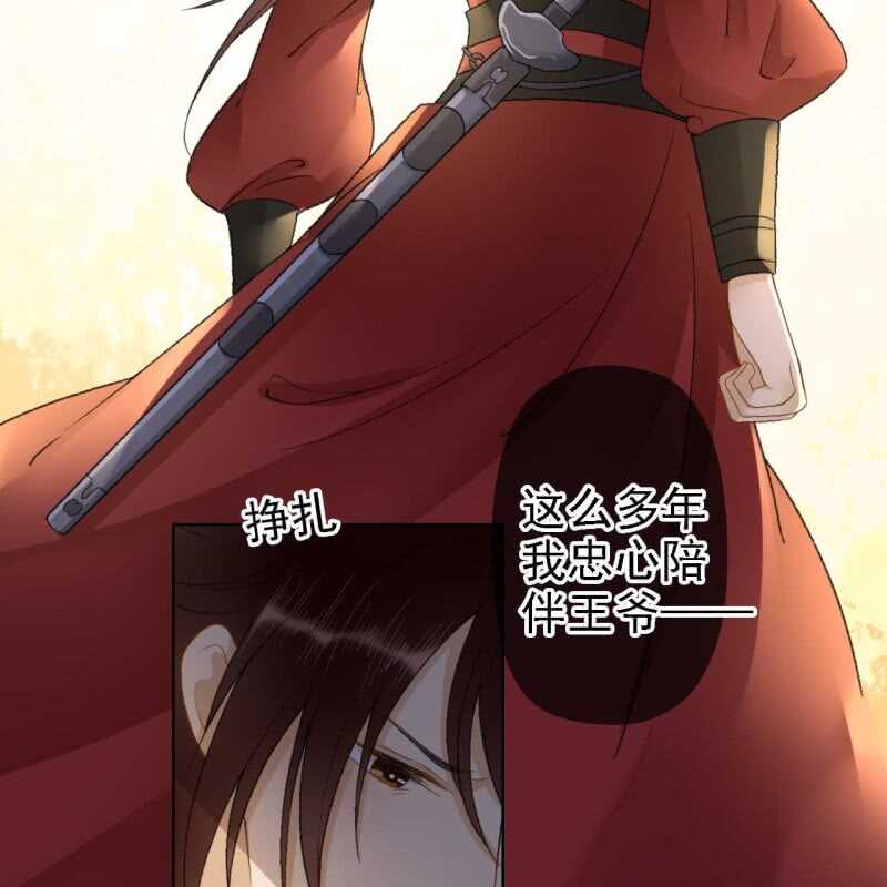 第159话 嫁祸王爷14