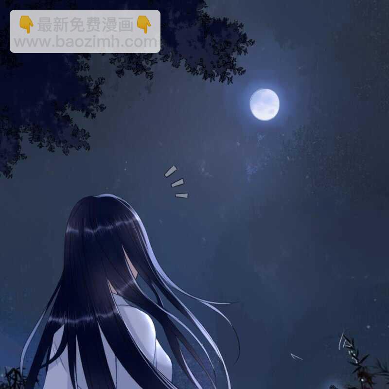 第146话 暗夜追踪13