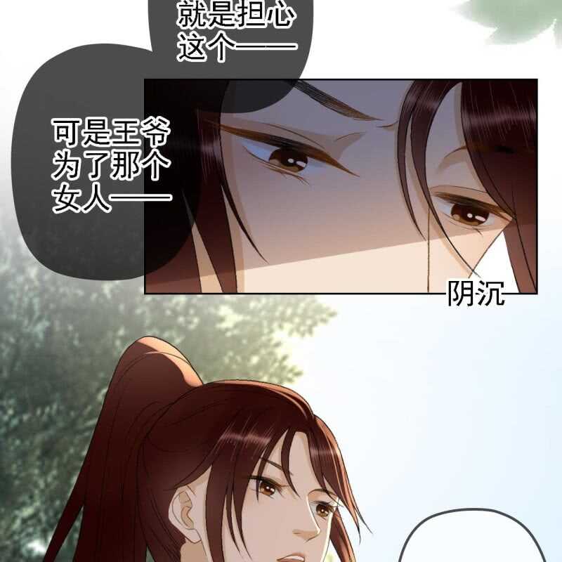 第159话 嫁祸王爷19