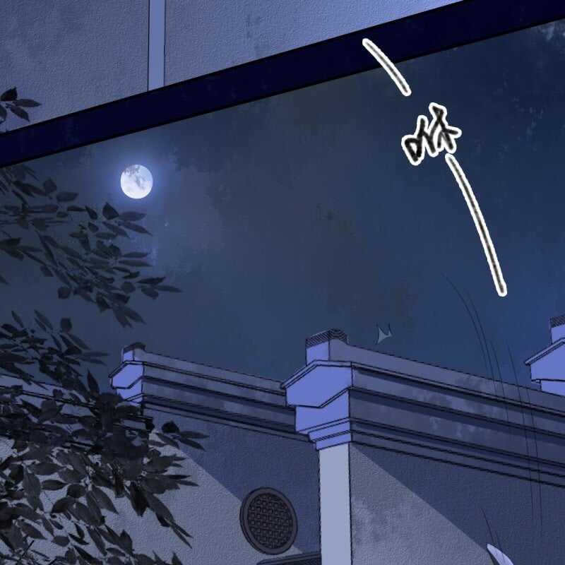 第146话 暗夜追踪30