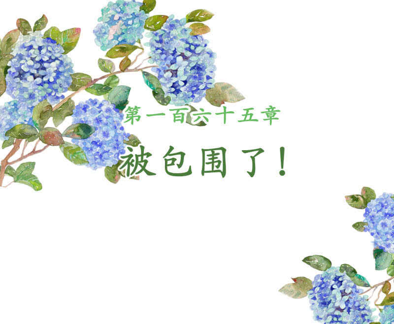 第165话 被包围了！1