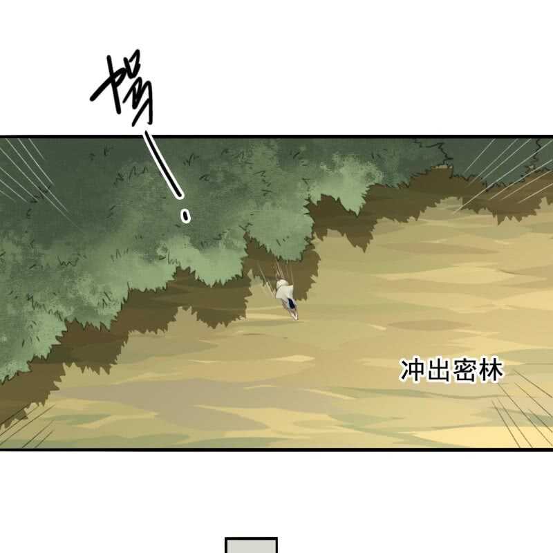 第164话 埋伏19