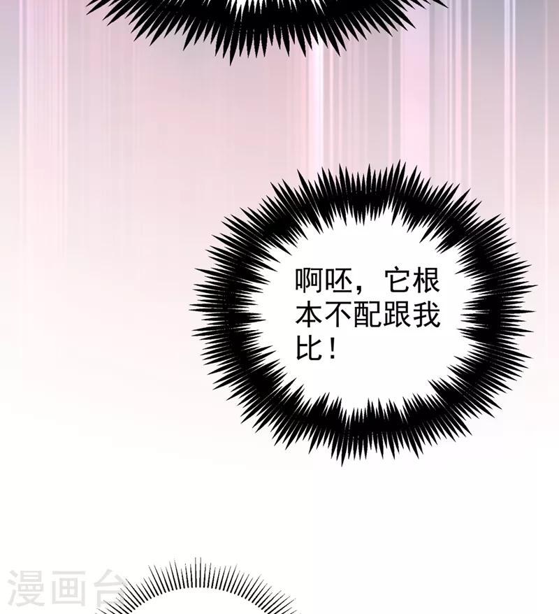 第37话 会八国语言的网红孔雀13