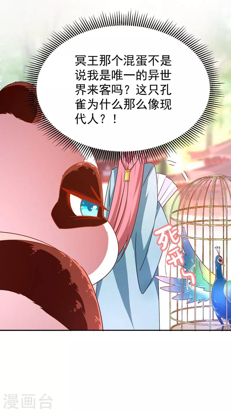 第37话 会八国语言的网红孔雀31