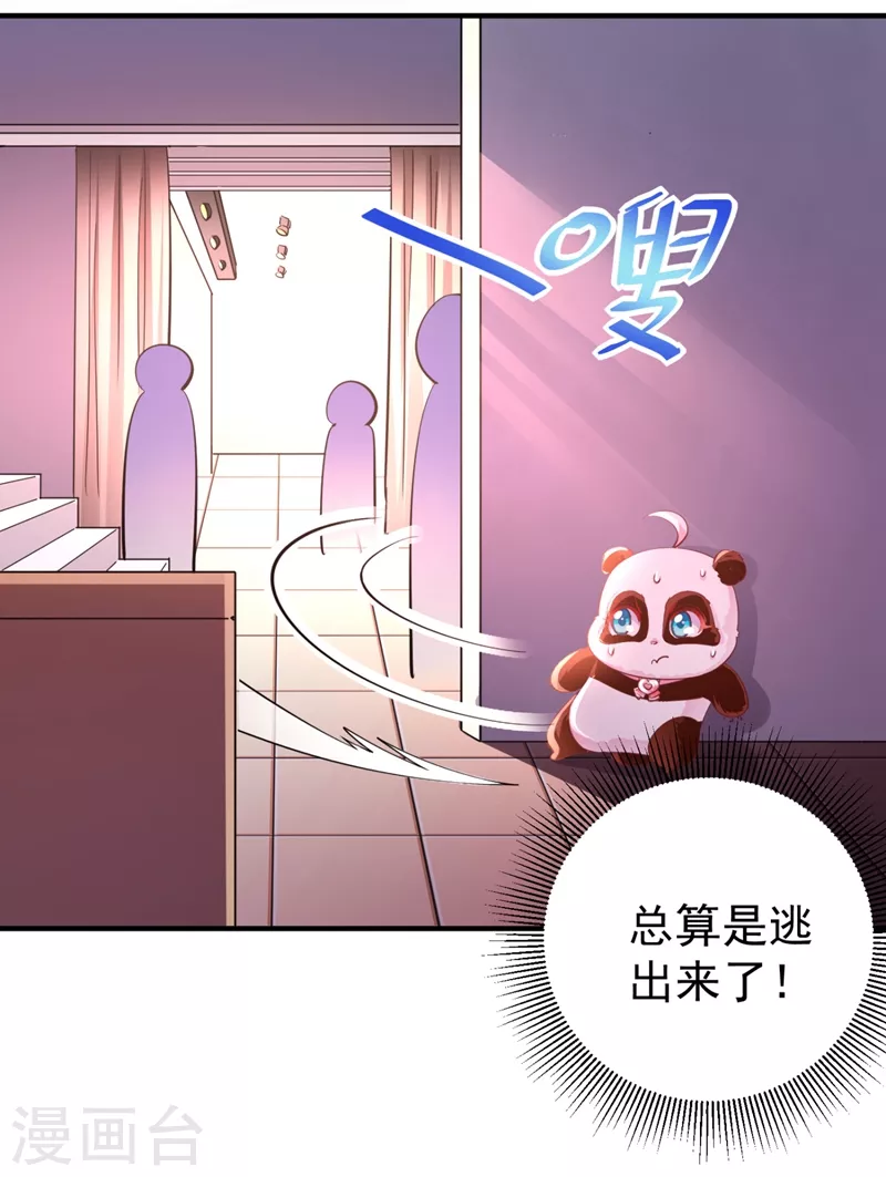 现代篇27 来人啊，熊猫说话啦！8