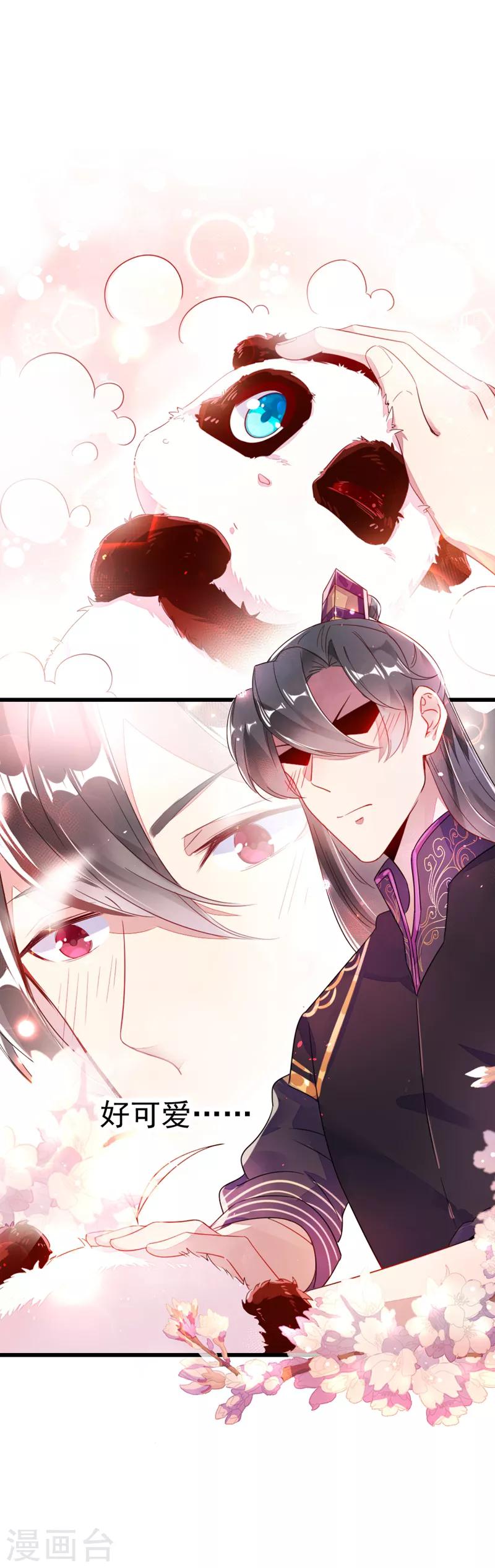 第7话 熊猫洗的白吗？7