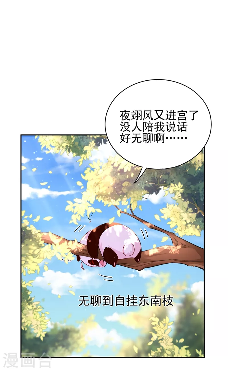 番外1 被蜜蜂蛰了的那点事儿1