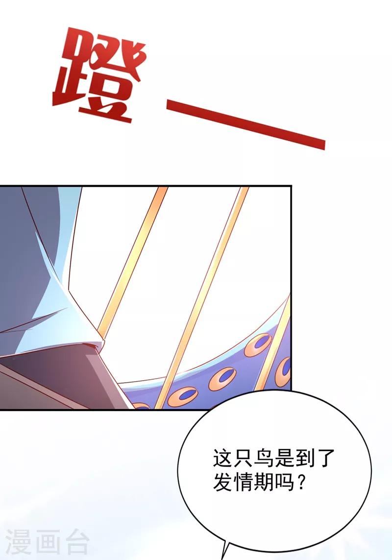 第37话 会八国语言的网红孔雀24