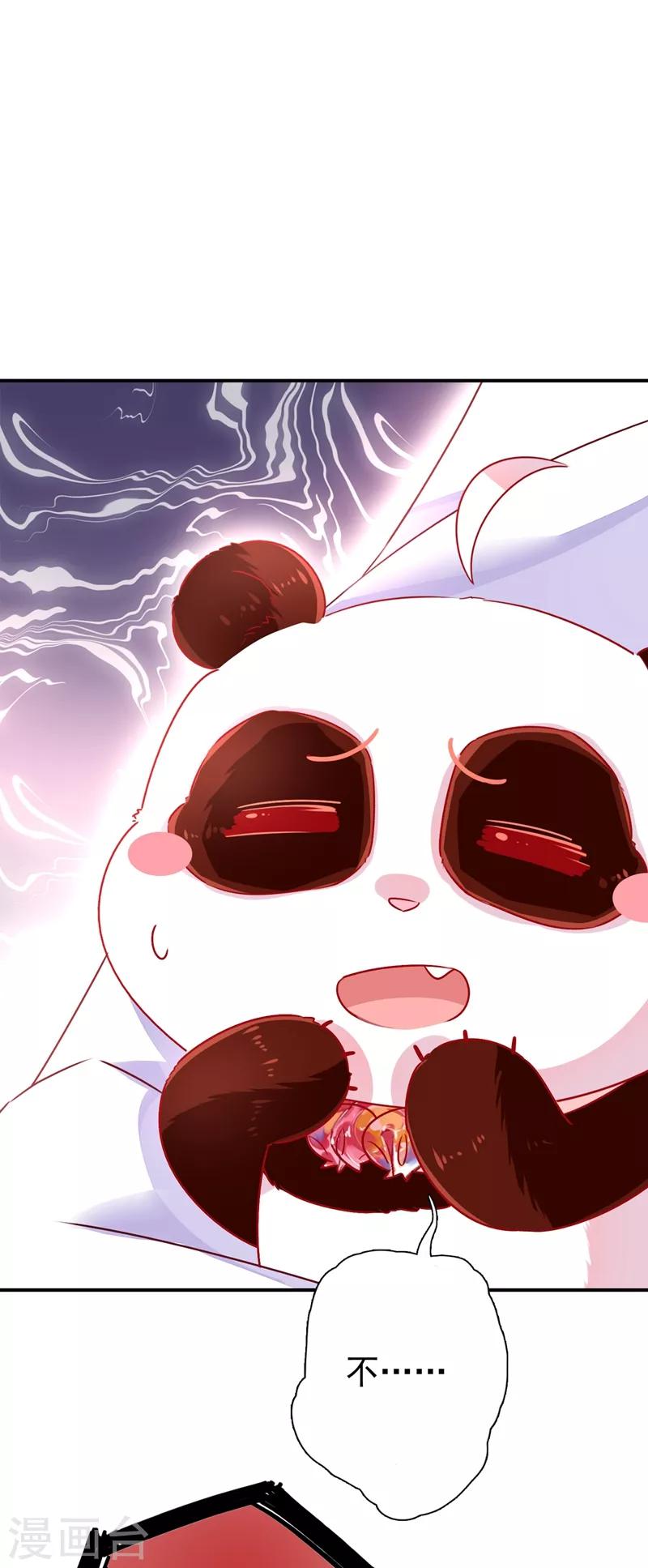第37话 会八国语言的网红孔雀3