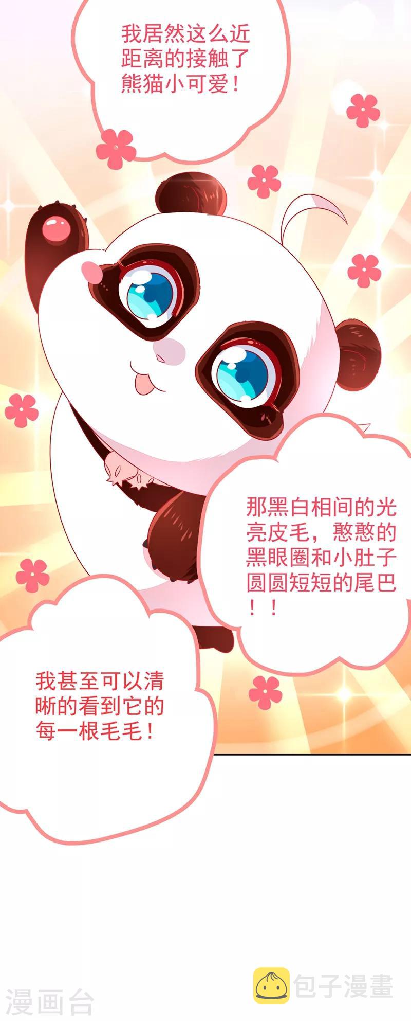 第37话 会八国语言的网红孔雀22