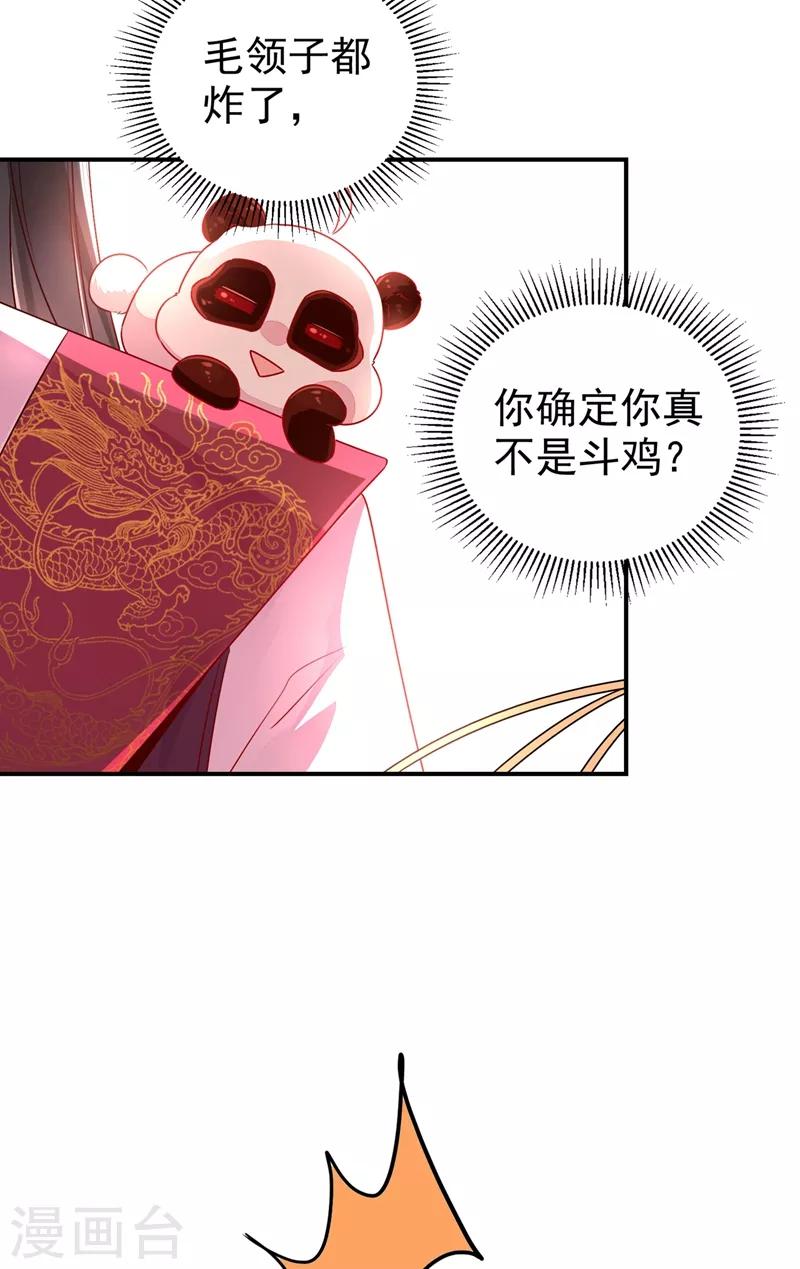 第37话 会八国语言的网红孔雀14