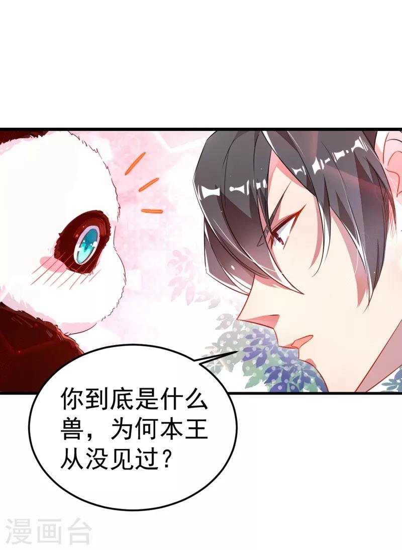 第3话 想做熊猫的铲屎官吗？6