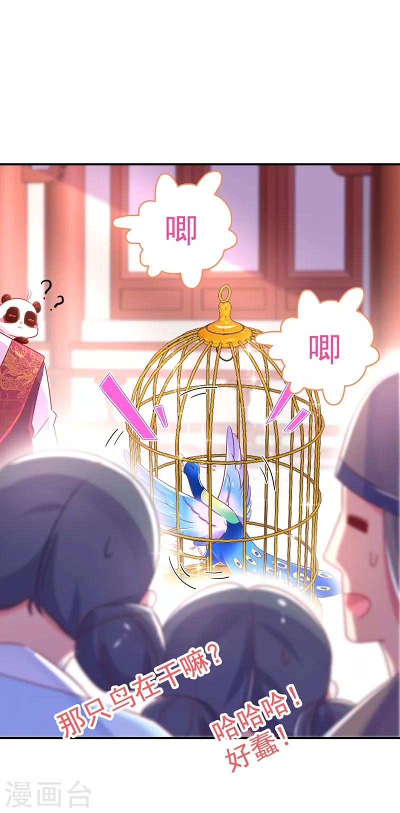 第37话 会八国语言的网红孔雀23
