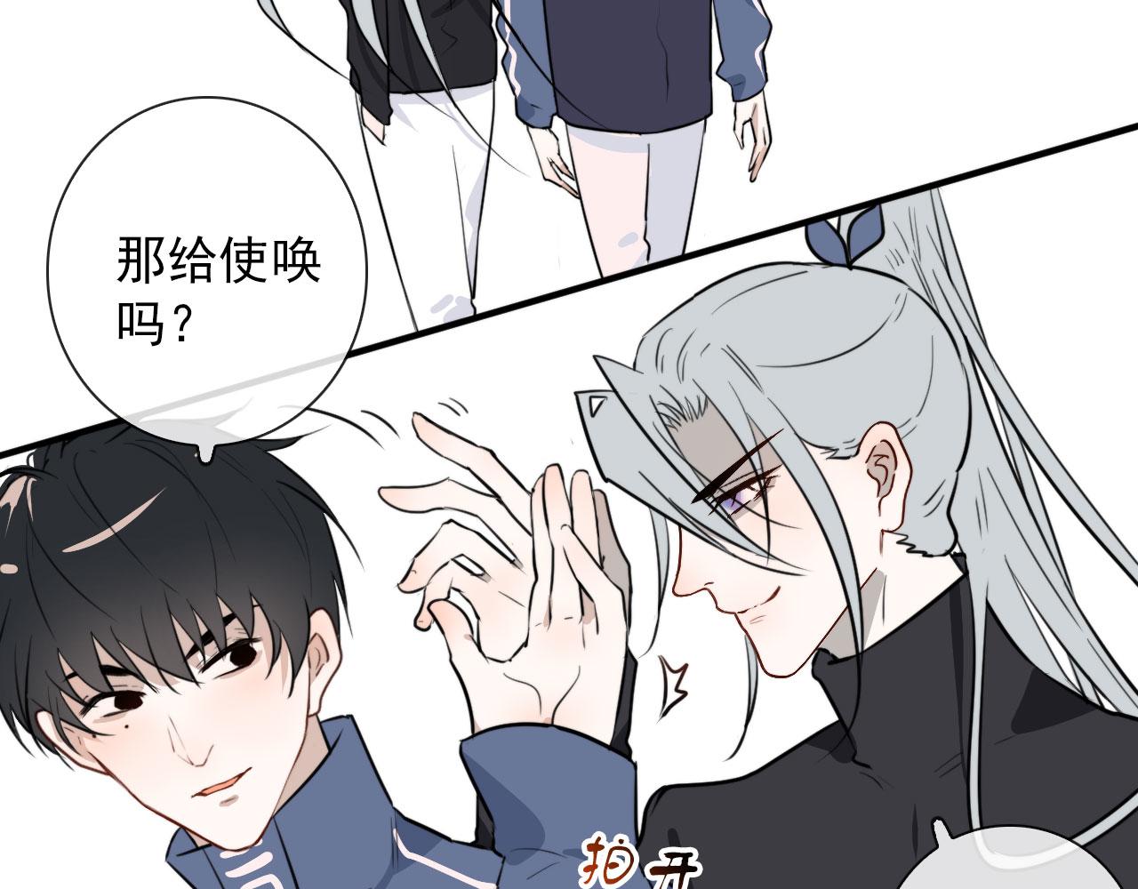 第44话 石头花24