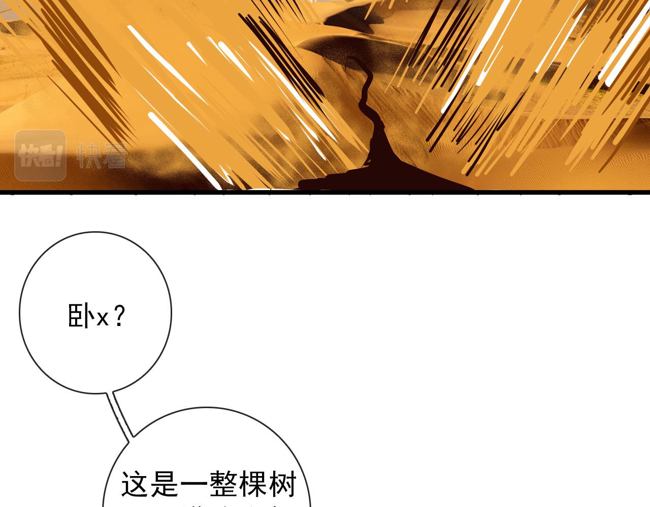 第44话 石头花59