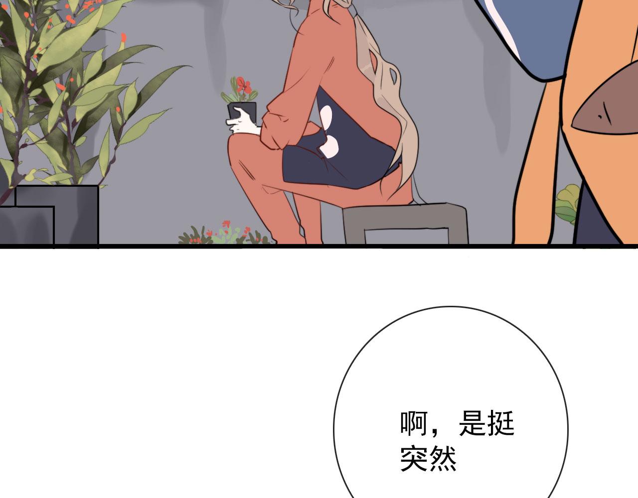 第44话 石头花16