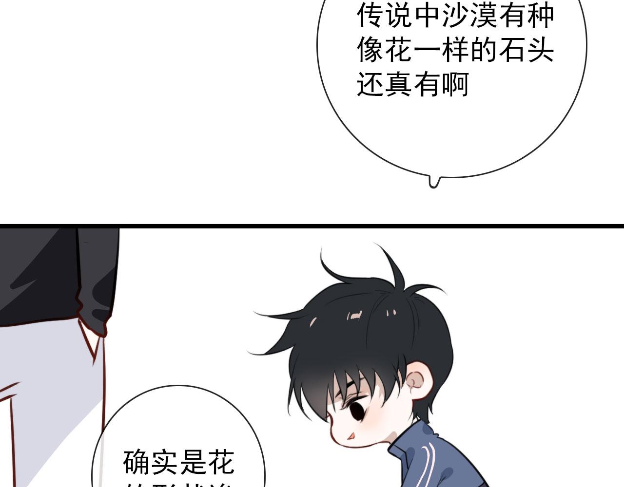 第44话 石头花53