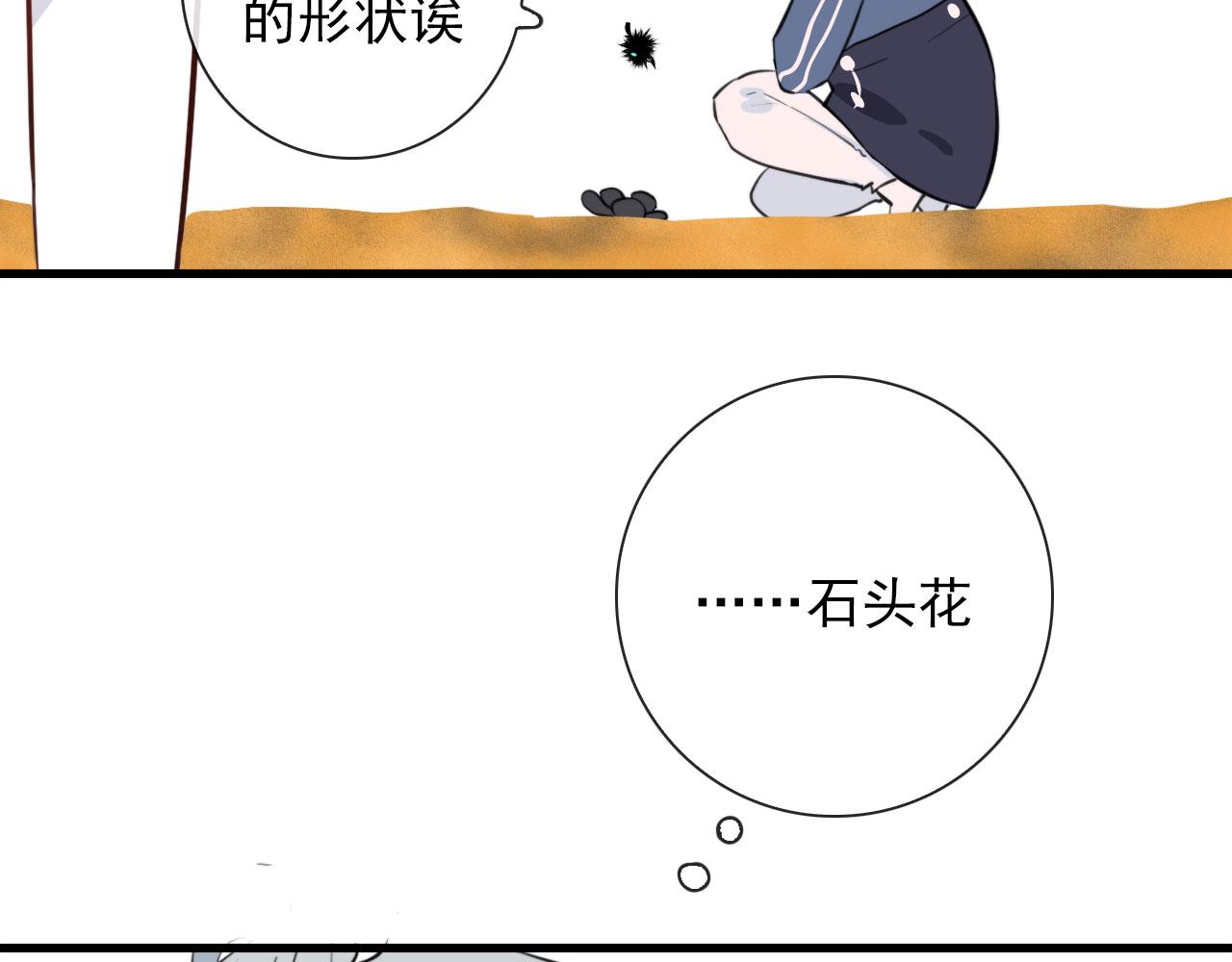 第44话 石头花54