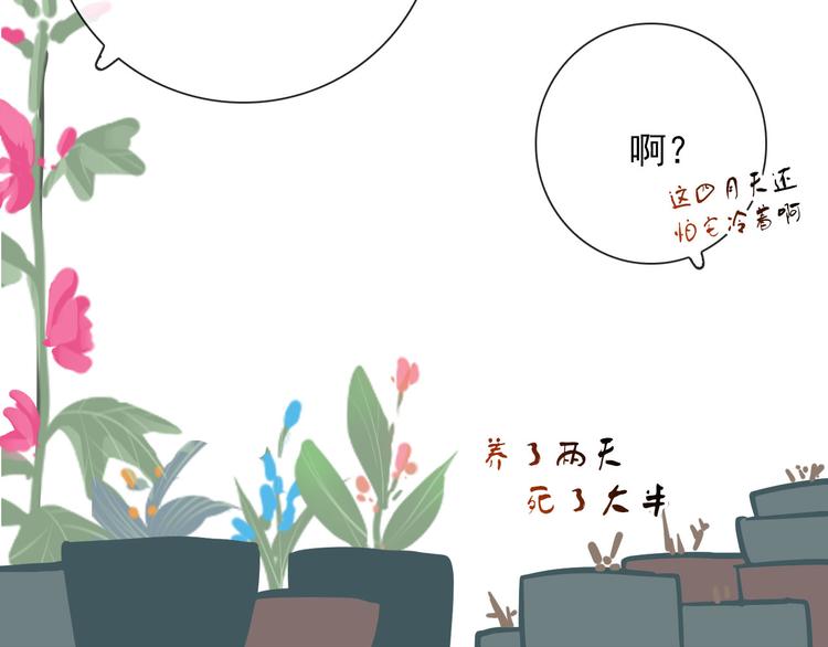 第18话 叔，补补吧9