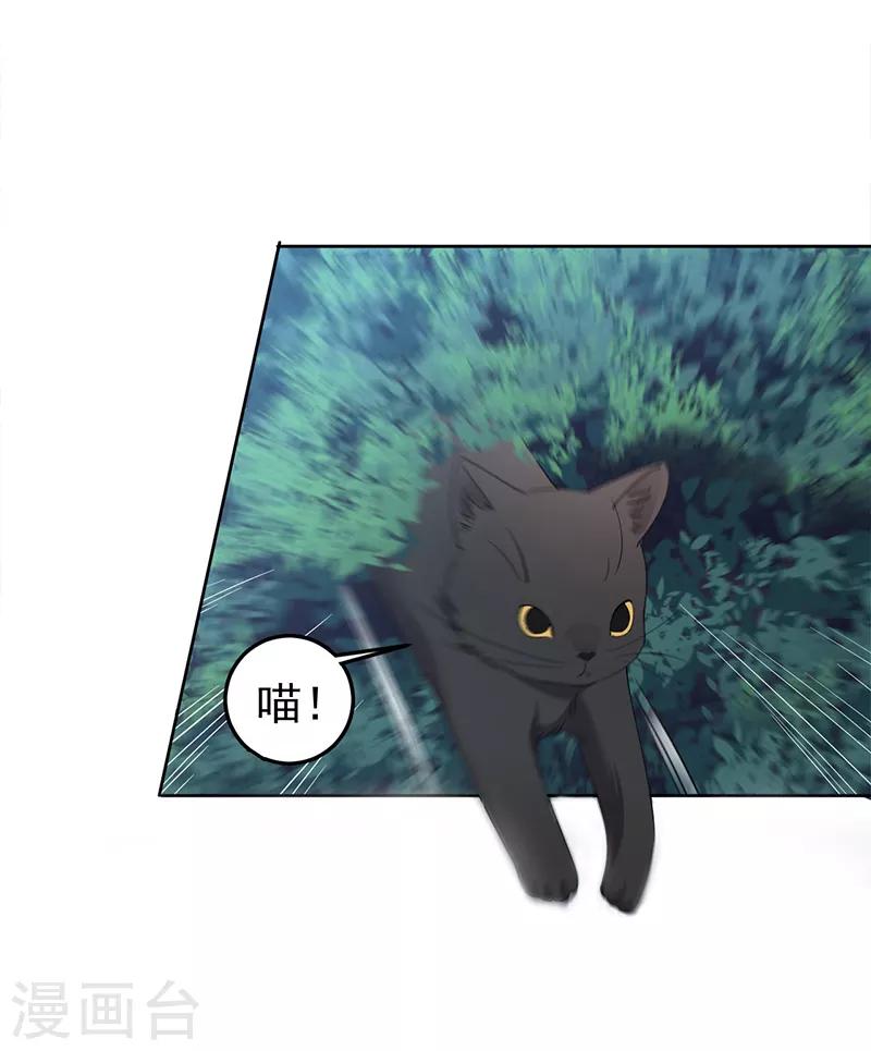 第269话 焰王爷11
