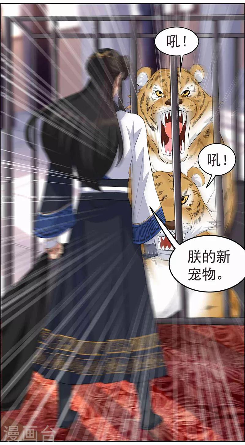 第221话 新宠物7