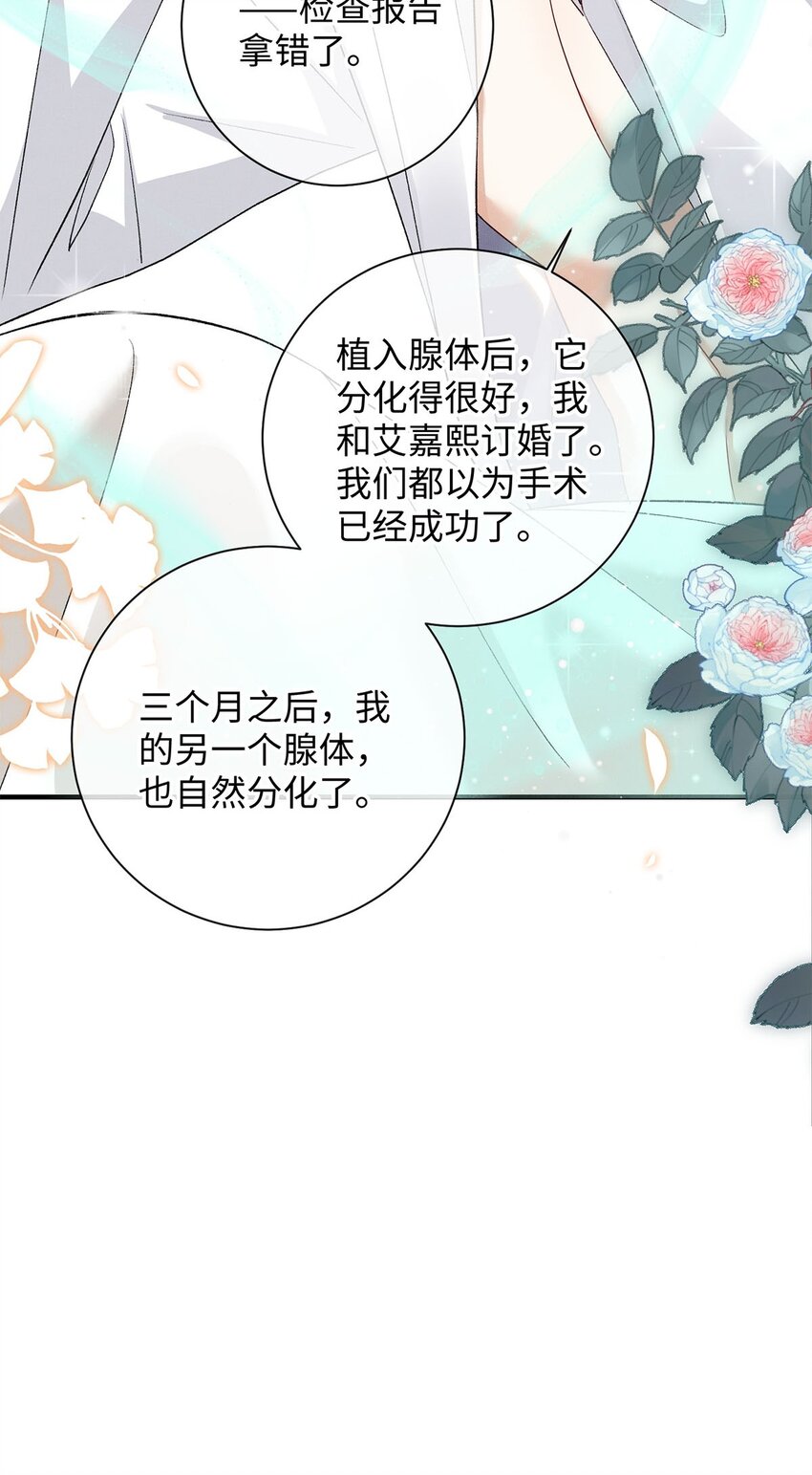 24 另一个腺体32