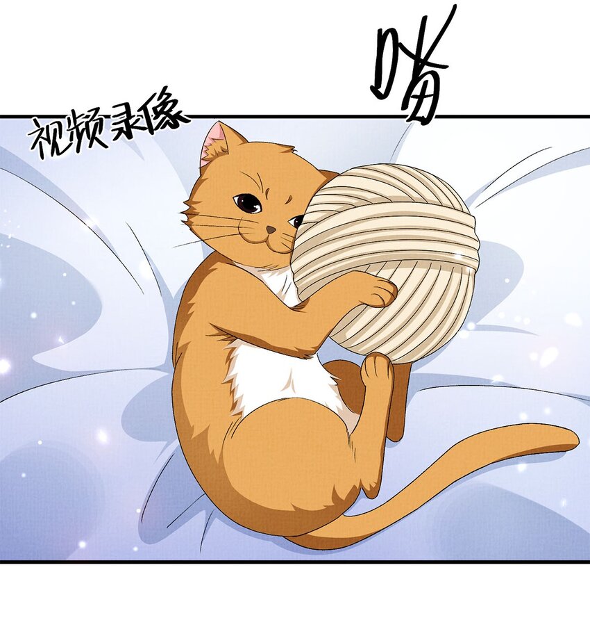 18 是我的自欺欺人3