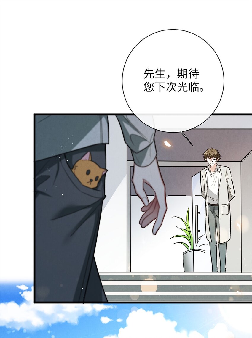 13 新的计划9
