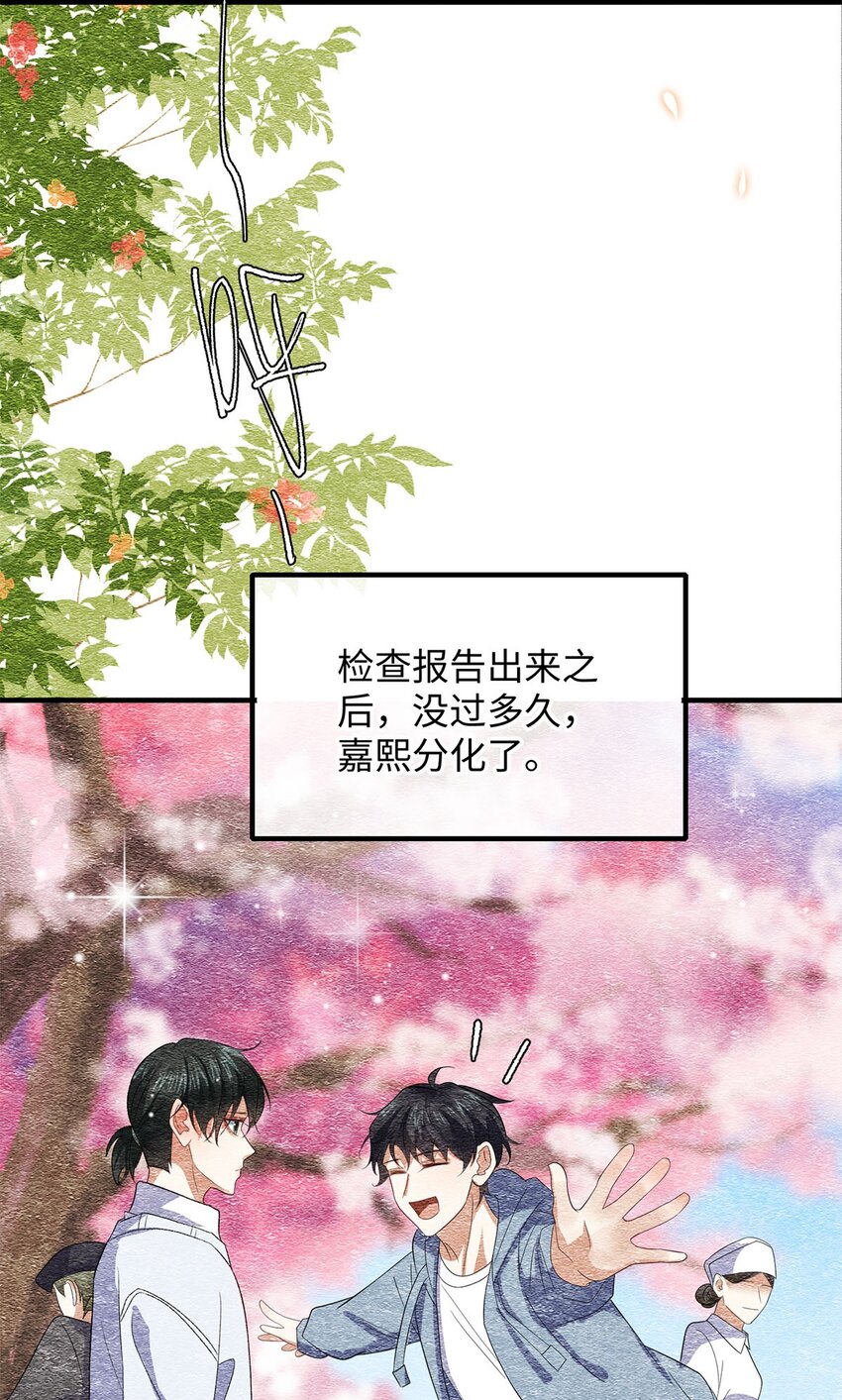 24 另一个腺体26
