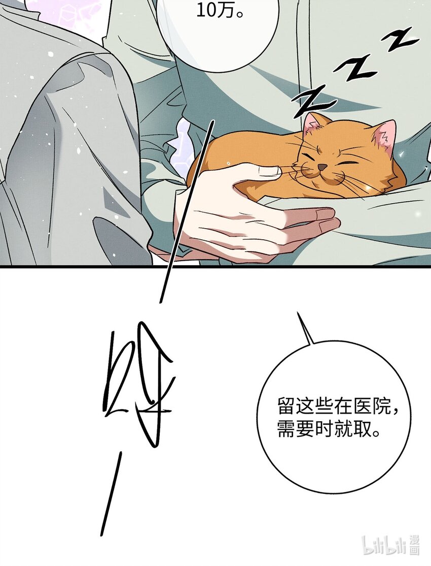 12 寄养32