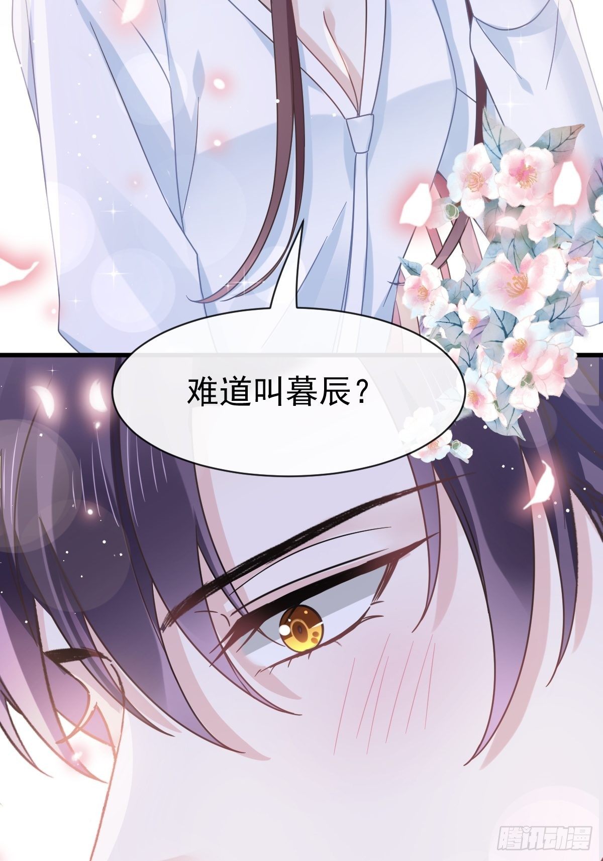 021草莓甜心37