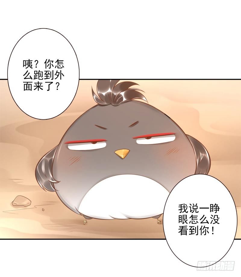 第20话：做我的人6