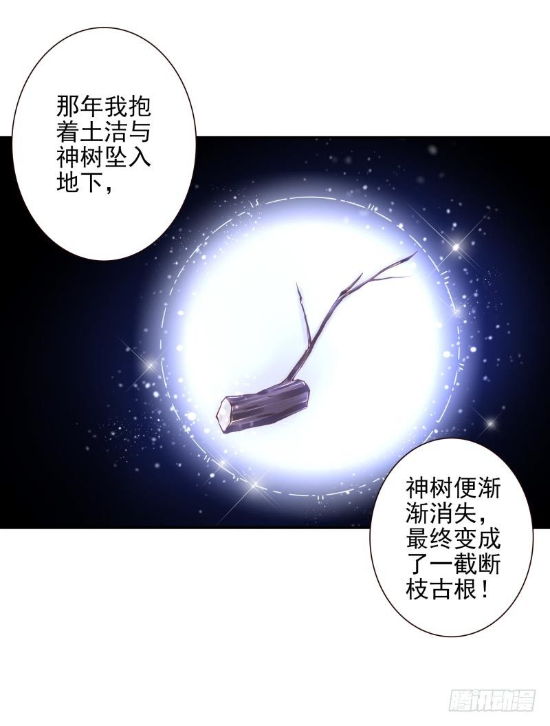 第33话：神树之源16