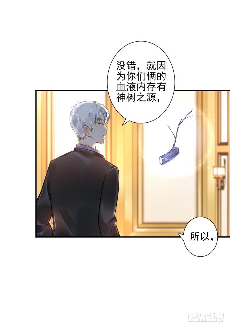 第33话：神树之源33