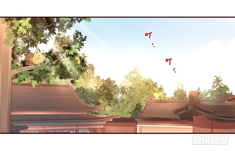 第8话：把我哥哥变成人1