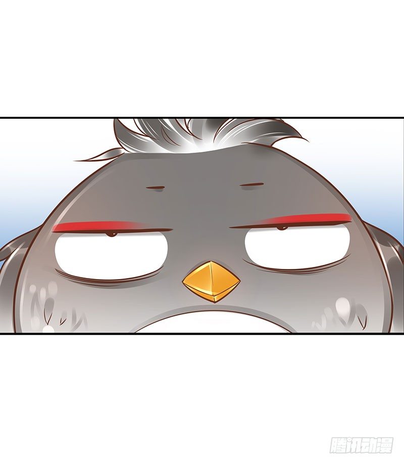 第37话：危波海港6