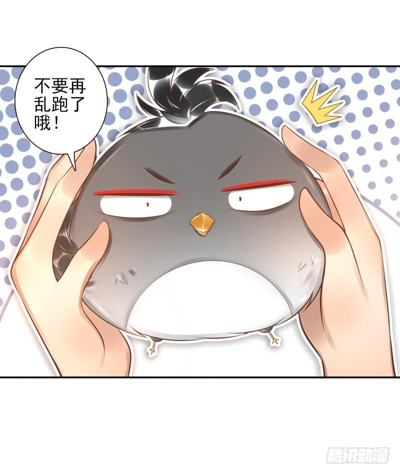 第23话：制定计划15