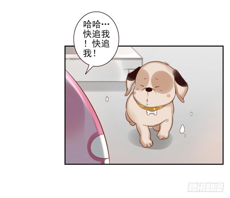 第11话：召唤武封殿36