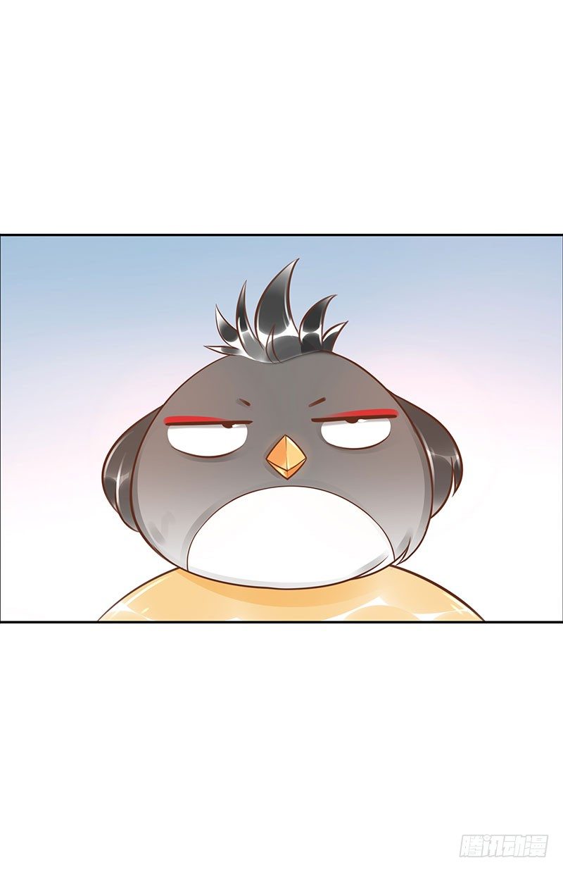 第42话：我带你去14