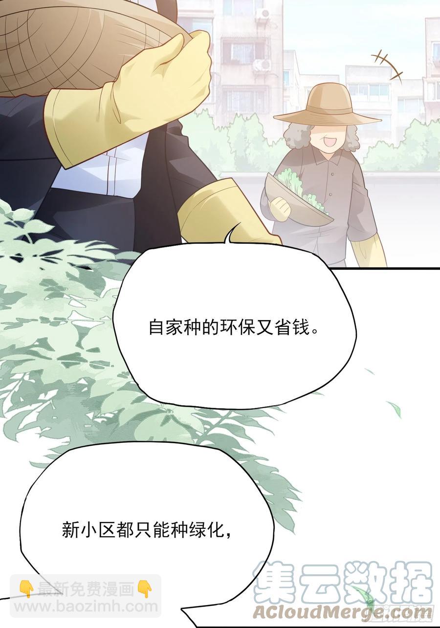 97：猫咪多可爱呀~4