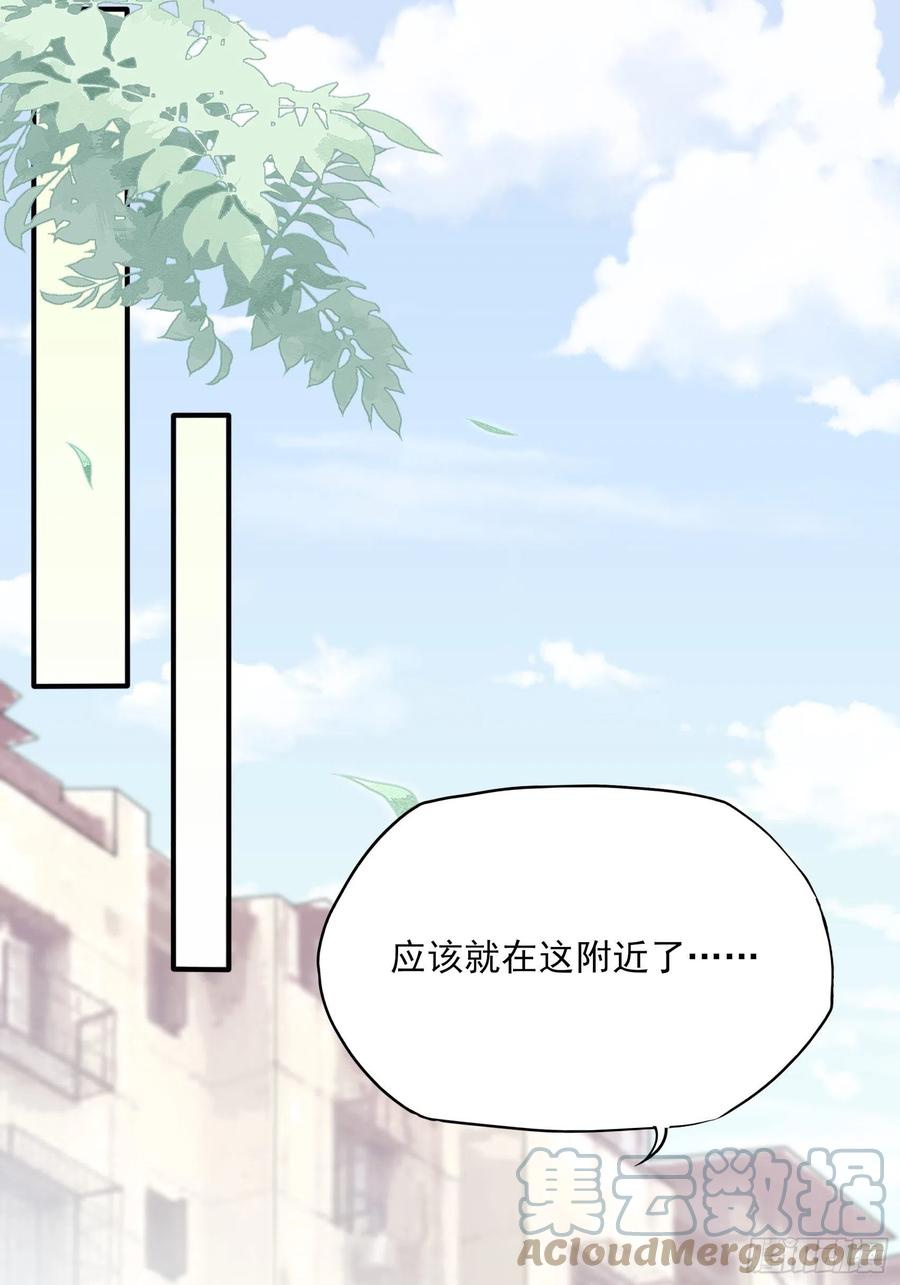 97：猫咪多可爱呀~22
