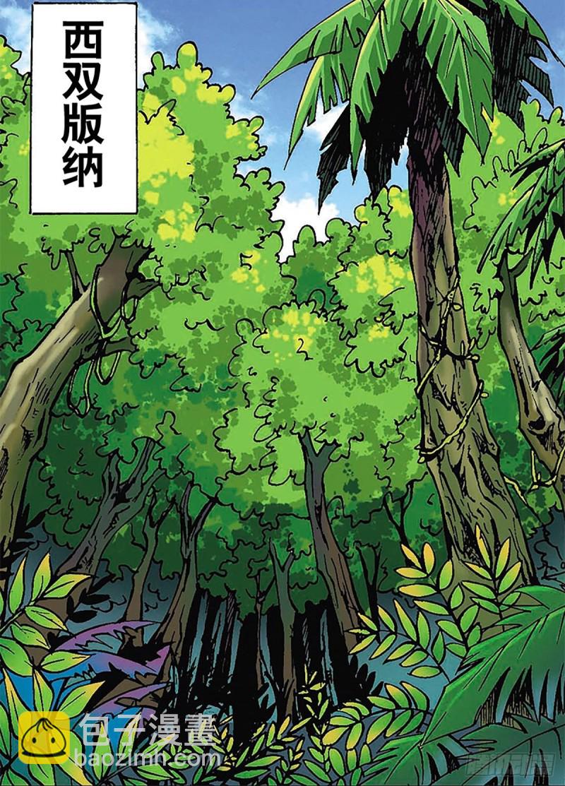 第113话   四灵之首14