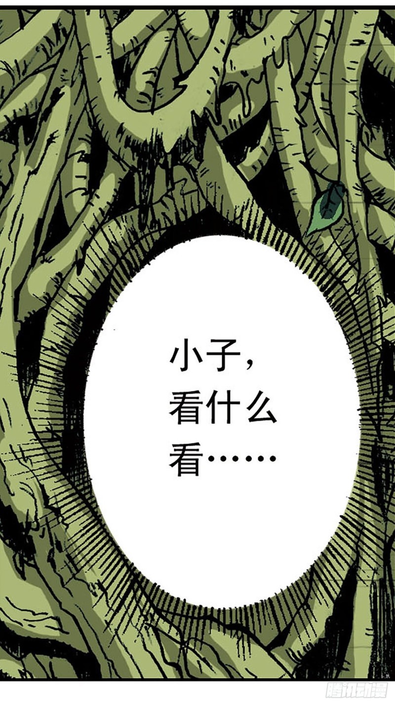 第148话   白猿老头17