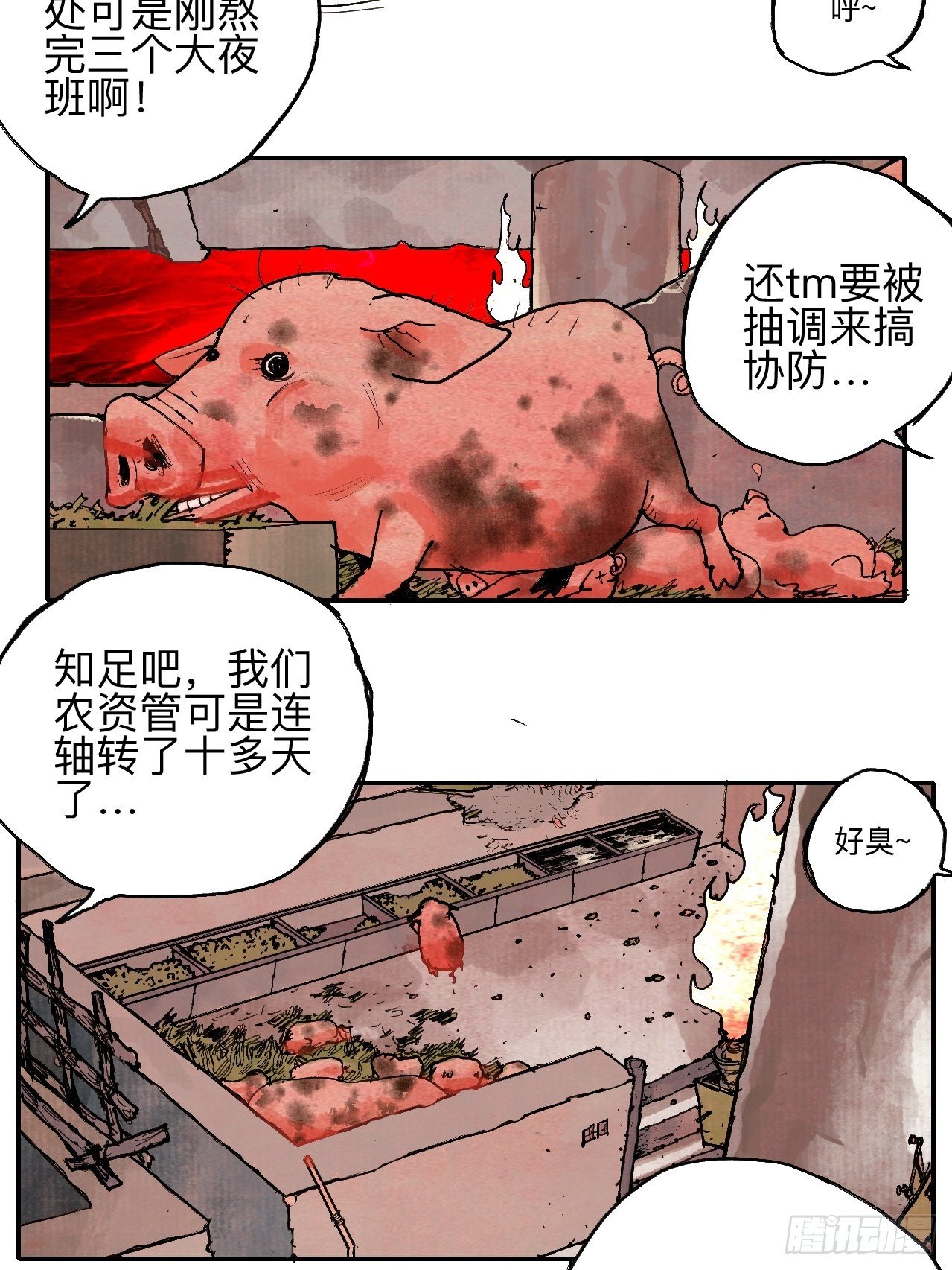 叁拾叁·这把赌对了2