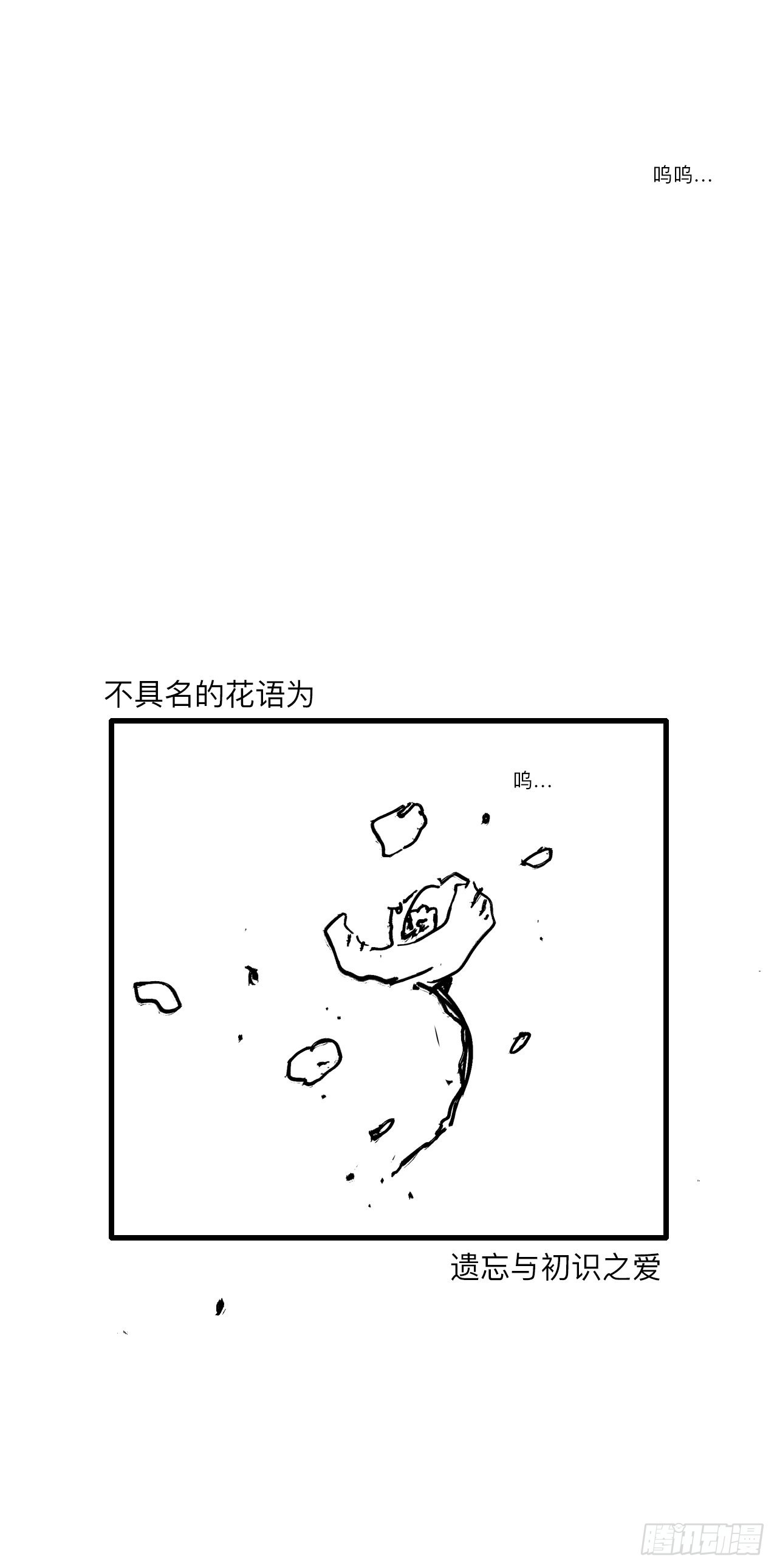 陆拾叁·花66